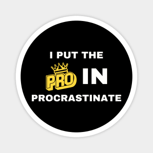 I Put the Pro in Procrastinate Funny Magnet